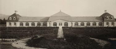 Glasshouse Complex 1915